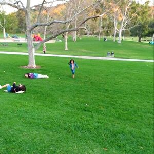 Meet your Posher, Alcira